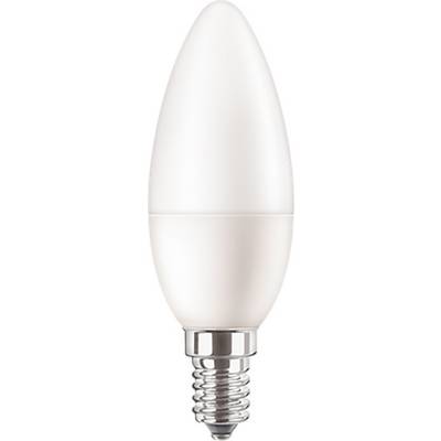 Una lampadina bianca a forma di candela con attacco a vite è posizionata davanti a uno sfondo bianco.