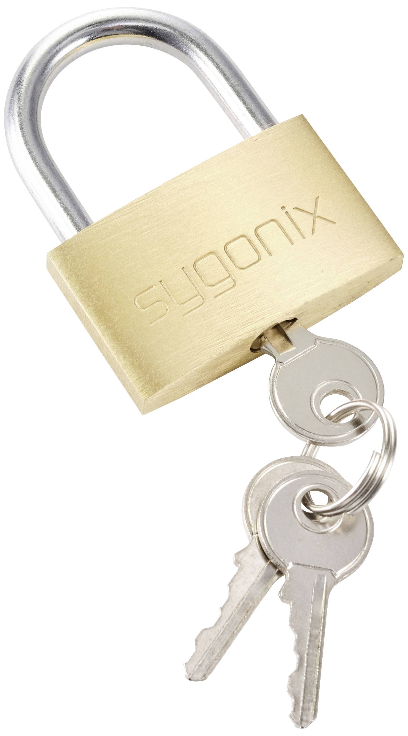 Lucchetto in metallo con incisione scritta 'sygonix'. Due chiavi argentate pendono dal lucchetto.