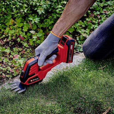Una persona sta tagliando l'erba con un tagliabordi a batteria, indossando guanti da giardinaggio, lungo un aiuola fiorita.