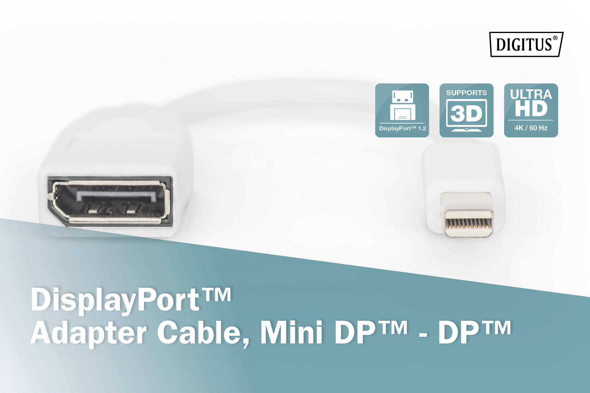 Cavo adattatore DisplayPort™ con connettori Mini DP™ e DP™, idoneo per 3D e Ultra HD 4K/60 Hz.