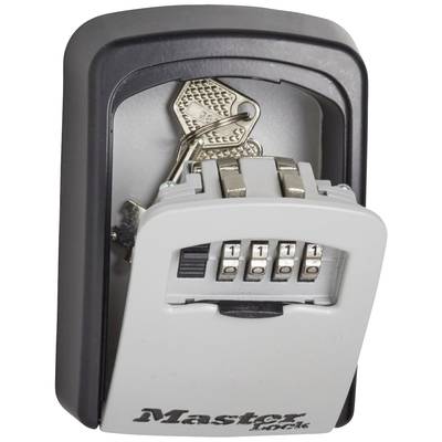 Master Lock P21296 5401EURD Cassaforte per chiavi Serratura a combinazione  numerica