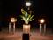 Un vaso con fiori di uccello del paradiso è posizionato su un palcoscenico, illuminato da tre riflettori. La scena evidenzia la decorazione e l'illuminazione.