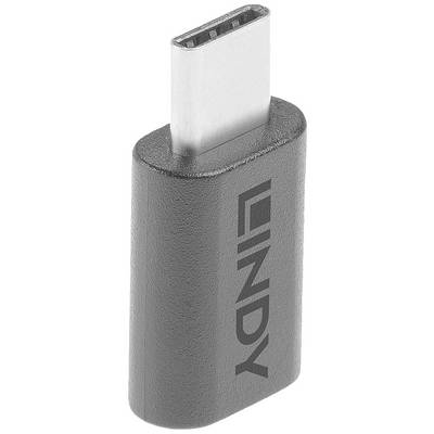 Un adattatore USB-C in grigio con la scritta 'LINDY'.