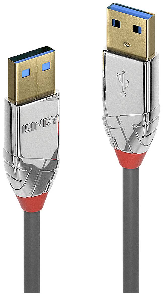 Spina e cavo USB-A, argento e rosso, idonei per il collegamento di dispositivi con porte USB.