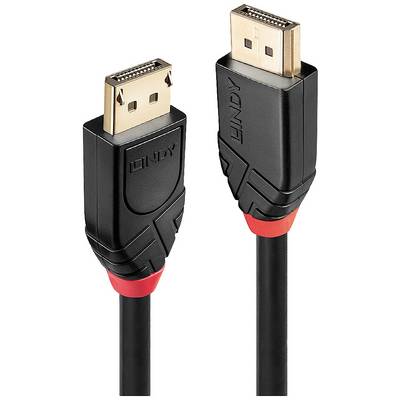 Due cavi DisplayPort neri con connettori dorati e inserti rossi, idonei per la trasmissione di segnali video e audio.