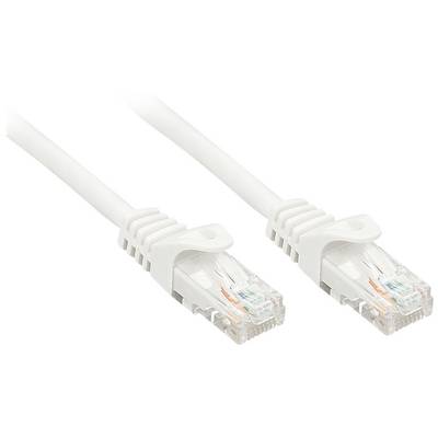 Due cavi Ethernet bianchi con connettori utilizzati per la connessione di rete.