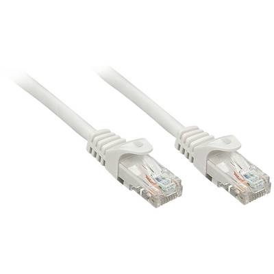 Due cavi Ethernet bianchi con connettori RJ45 trasparenti che collegano reti.