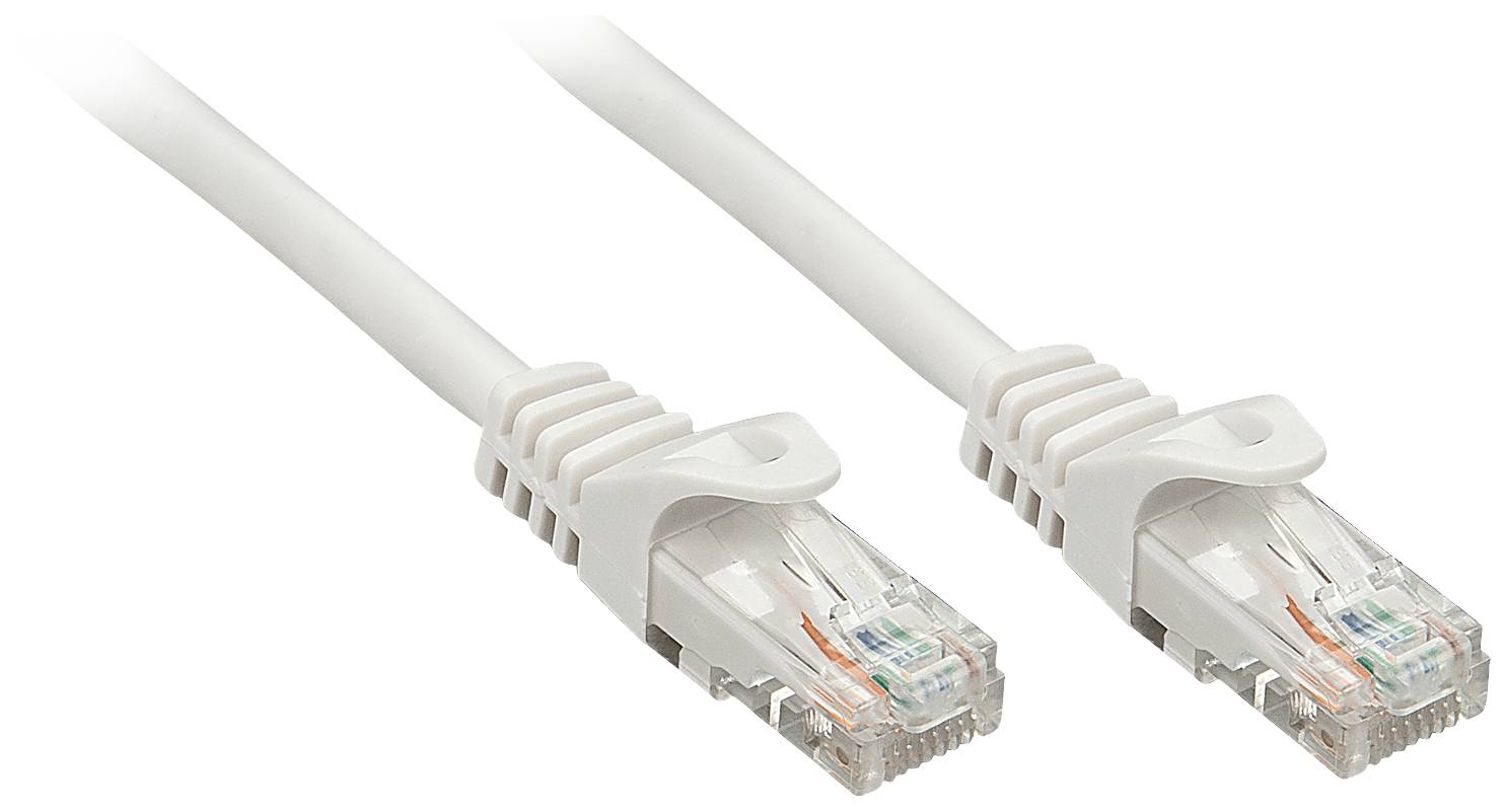 Due cavi Ethernet con connettori trasparenti mostrano il cablaggio interno in rame. Sono destinati a connessioni di rete.
