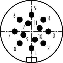 Un diagramma di connettore circolare con 12 pin numerati disposti in cerchio, illustrato per rappresentare connessioni neurologiche.