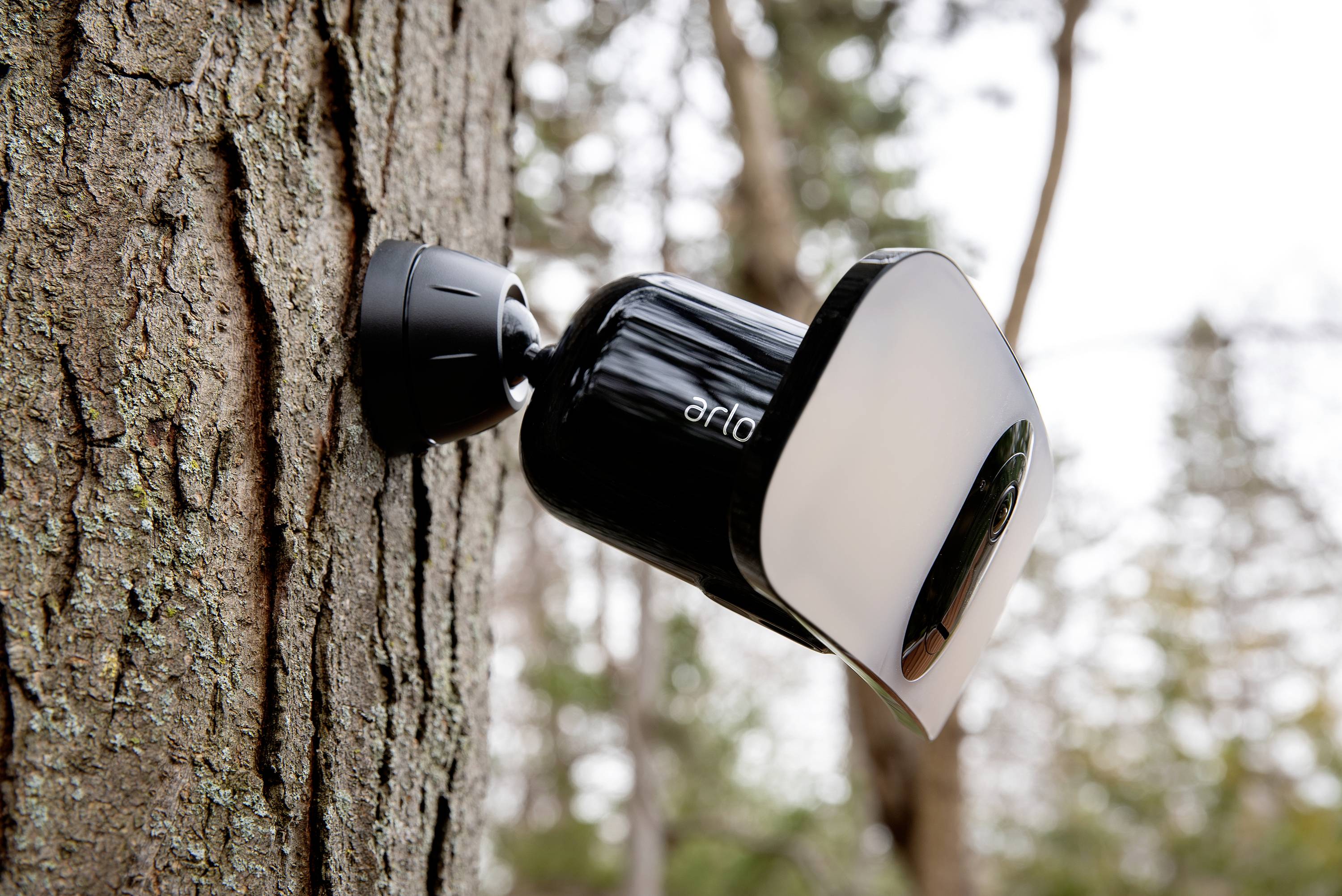 Una telecamera di sorveglianza è installata su un albero all'aperto e monitora l'area circostante.