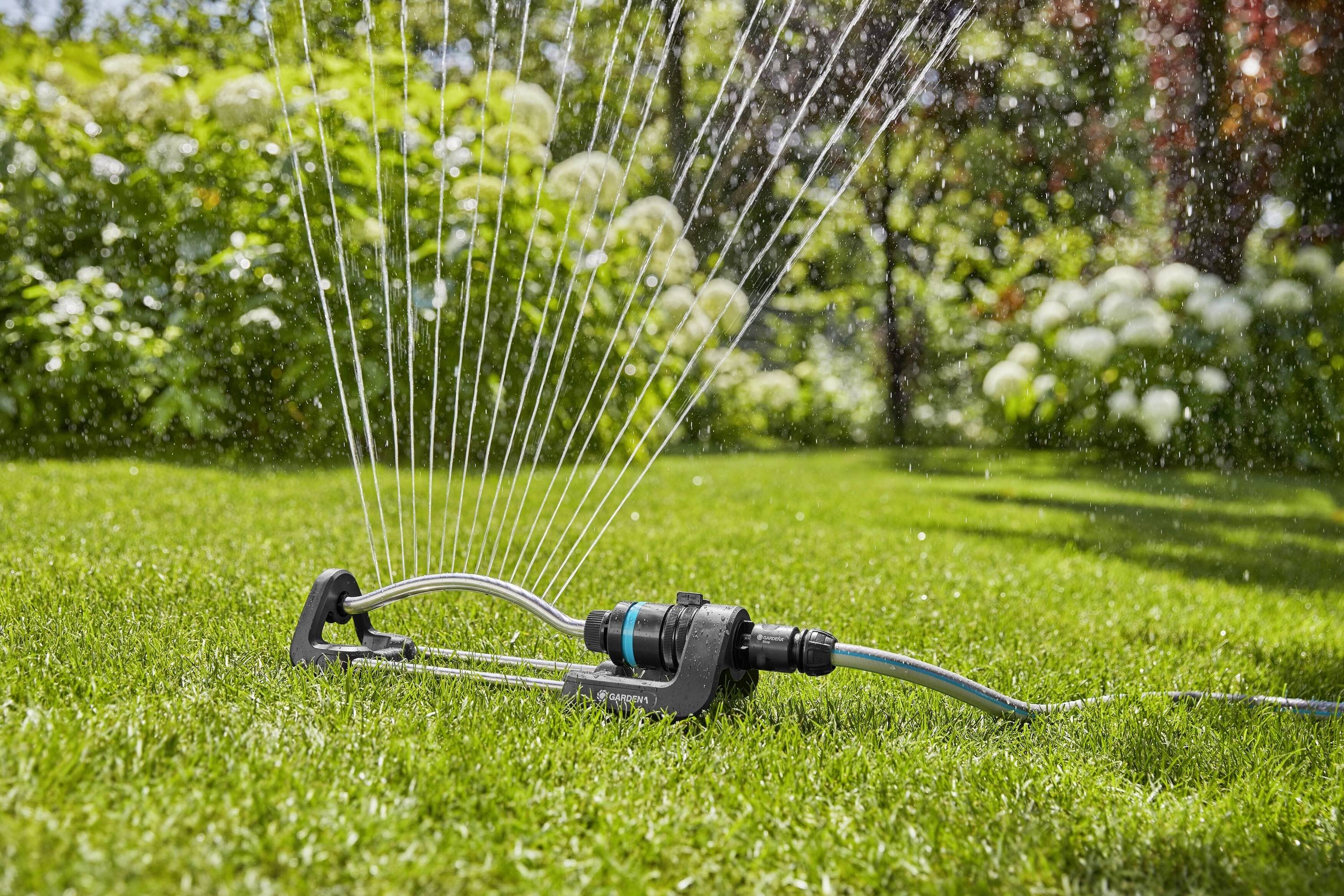 Un irrigatore spruzza acqua su un giardino ricoperto di erba, circondato da cespugli fioriti, sotto un cielo azzurro e con la luce del sole.