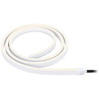 Una striscia LED bianca, arrotolata in una spirale allentata, con un'estremità di connessione nera. Ideale per l'illuminazione indiretta.