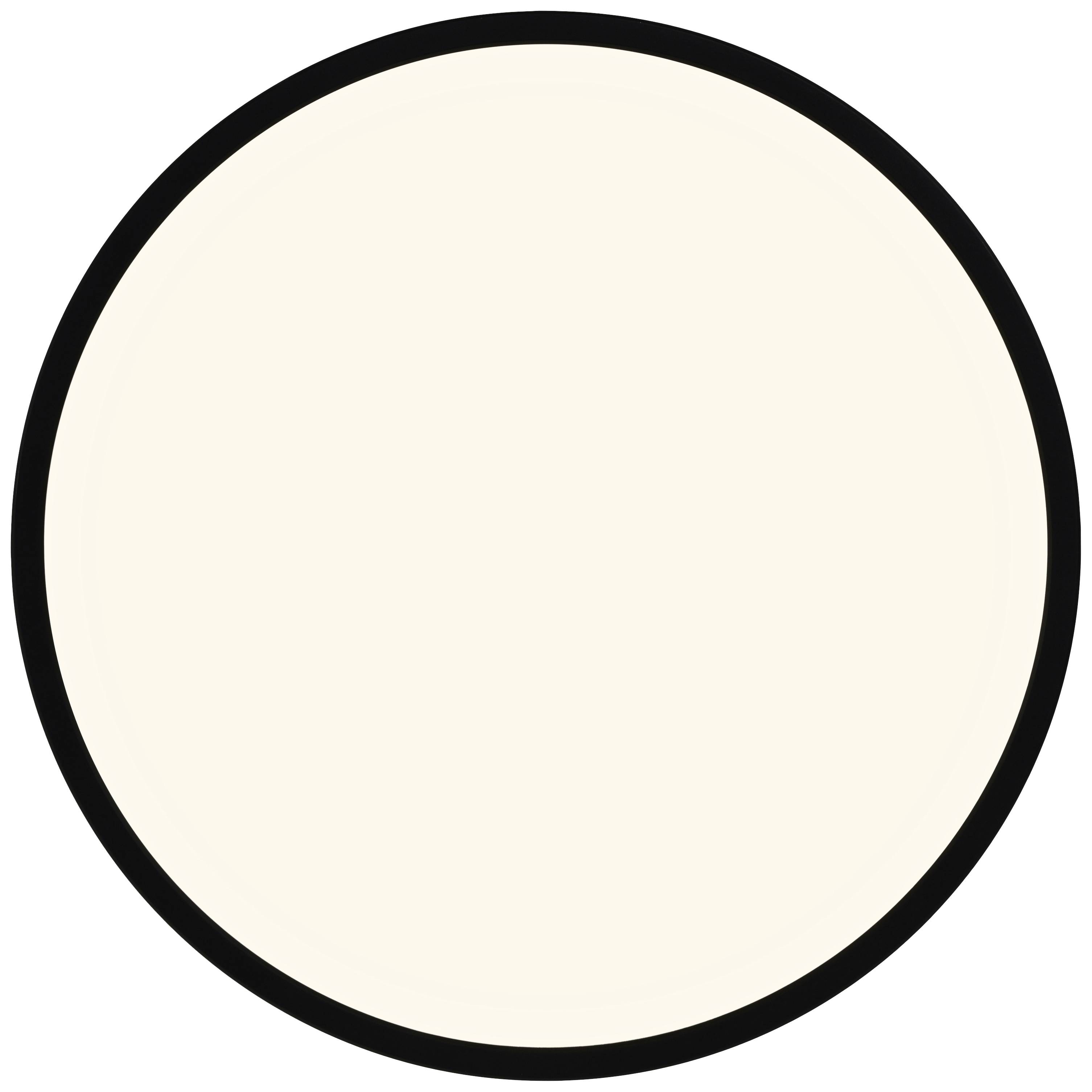 Un semplice cerchio beige chiaro con bordo nero su sfondo bianco.