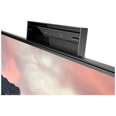 Viene mostrato un monitor con webcam integrata. Sullo sfondo è visibile un'immagine sfocata di un paesaggio.