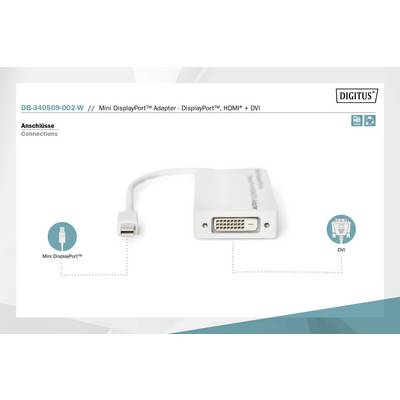 L'adattatore collega Mini DisplayPort con DVI. A sinistra è raffigurata una spina Mini DisplayPort, a destra un connettore DVI.