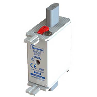 Fusibile NH000 da 100A con marchio CE, rappresentato in dimensioni standard, utilizzato per protezioni elettriche.