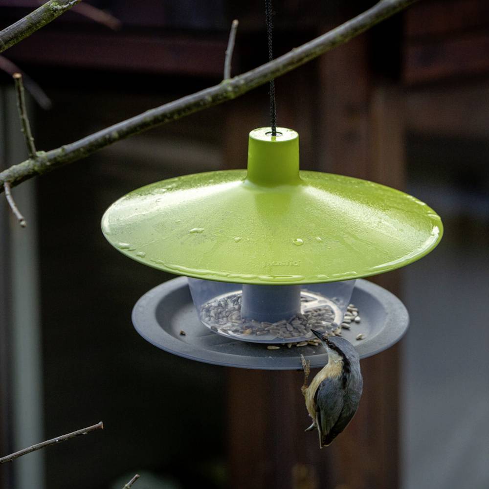 Un uccello pende a testa in giù da un alimentatore verde per uccelli e mangia semi. Ambiente esterno con rami sfocati sullo sfondo.
