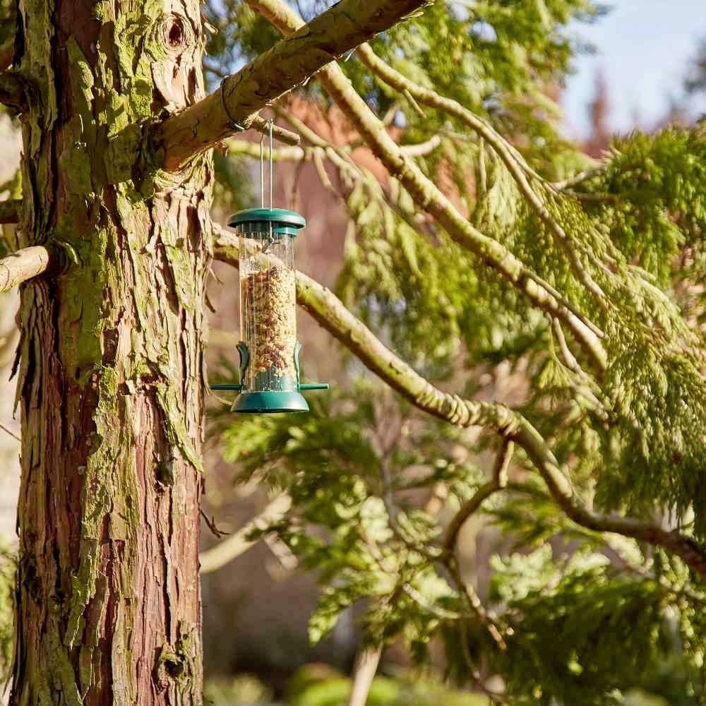 Una casetta per uccelli è appesa a un albero in un giardino soleggiato. L'albero ha una corteccia ruvida e la casetta per uccelli è verde.