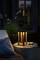 Una lanterna su un tavolo illumina una terrazza al crepuscolo. Accanto ci sono due limoni e un libro. Un'atmosfera accogliente.