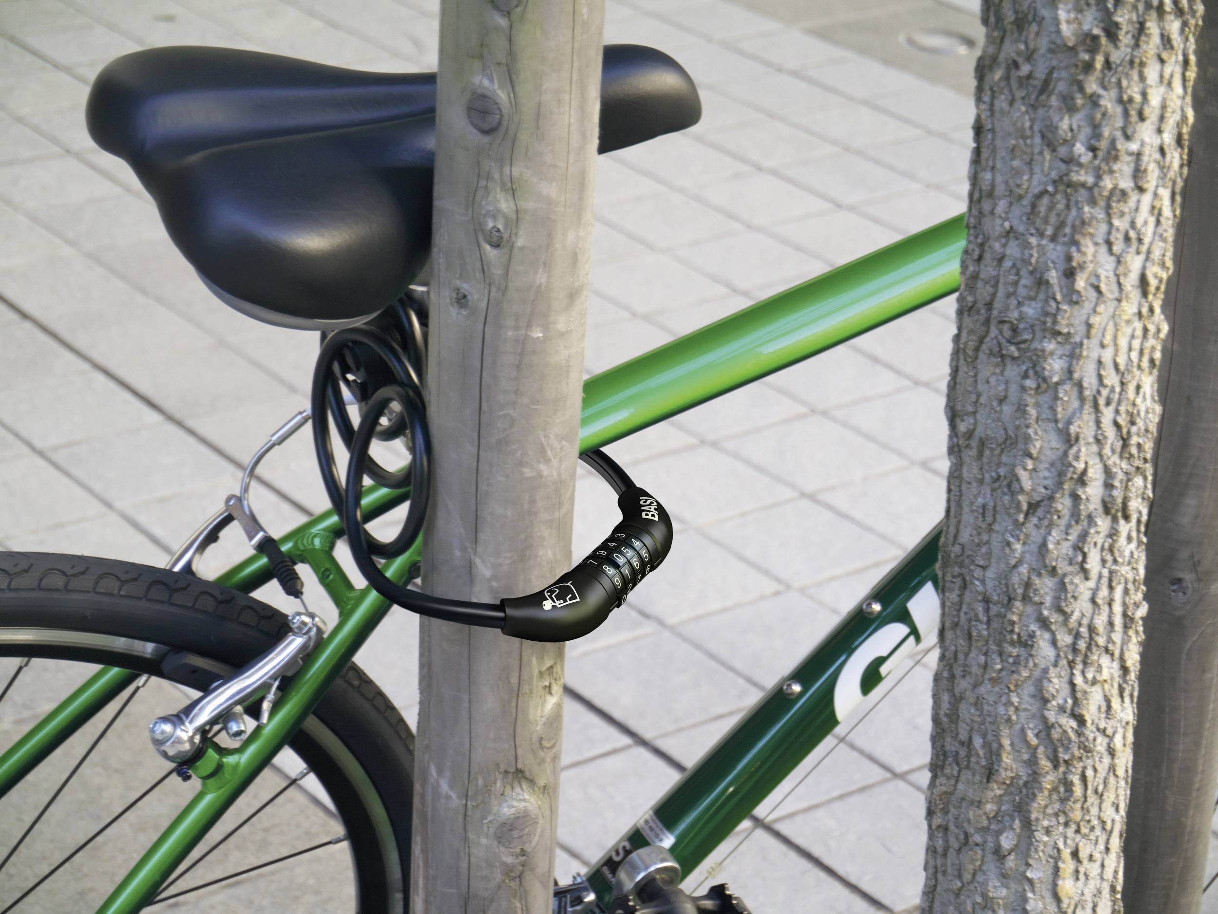 Una bicicletta verde è bloccata a un albero con un lucchetto a cavo nero.
