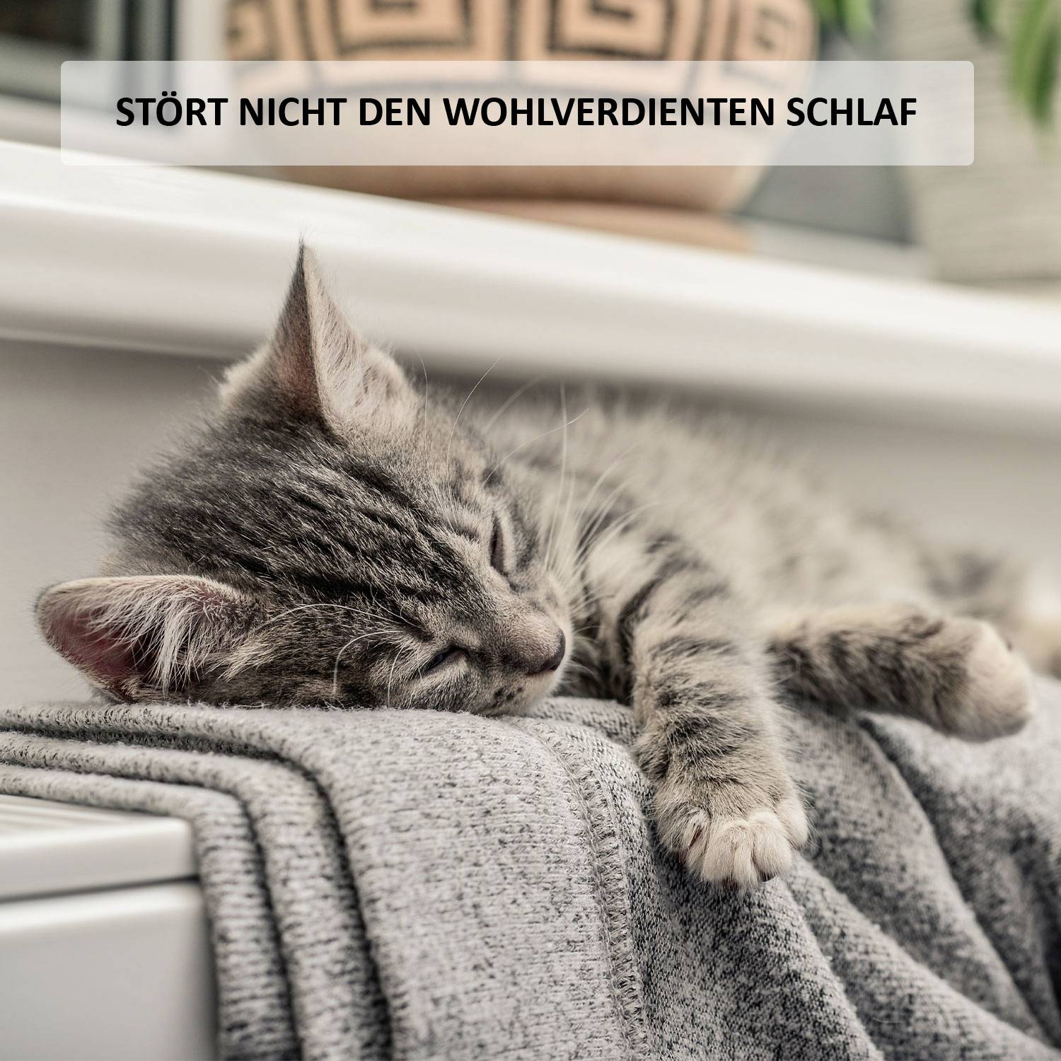 Un gatto addormentato giace su un asciugamano grigio. In alto nell'immagine c'è il testo: 'Non disturbare il sonno meritato'.