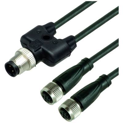 È raffigurata una connessione a Y con un connettore maschio M12 su un lato e due connettori femmina M12 sull'altro lato.