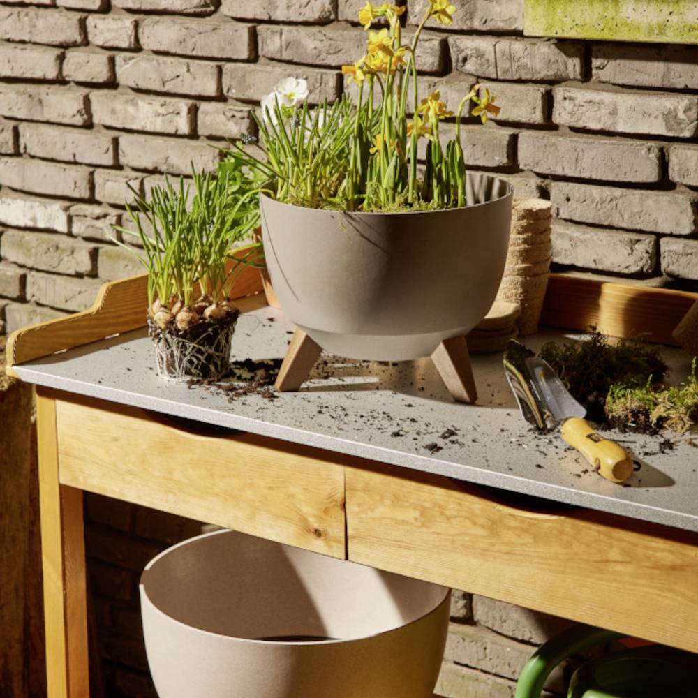 Un tavolo con vasi di terracotta, uno dei quali riempito con narcisi in fiore, accanto a strumenti da giardinaggio. Sullo sfondo un muro di mattoni e un angolo di giardino.