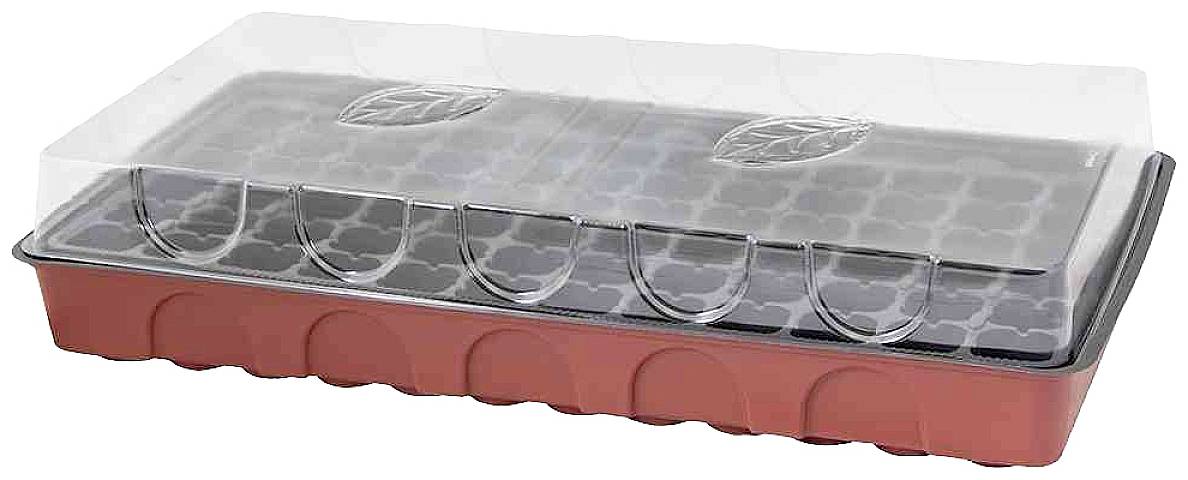 Piccola serra in plastica con coperchio trasparente. All'interno sono presenti diversi vassoi per la semina di piante.