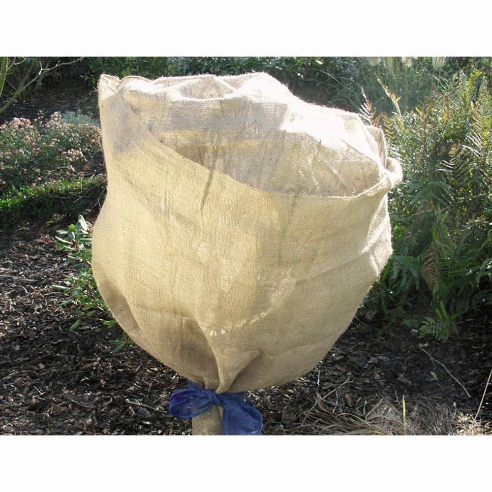 Una pianta in giardino è coperta con un sacchetto di tela marrone per proteggerla dal freddo o dai parassiti.