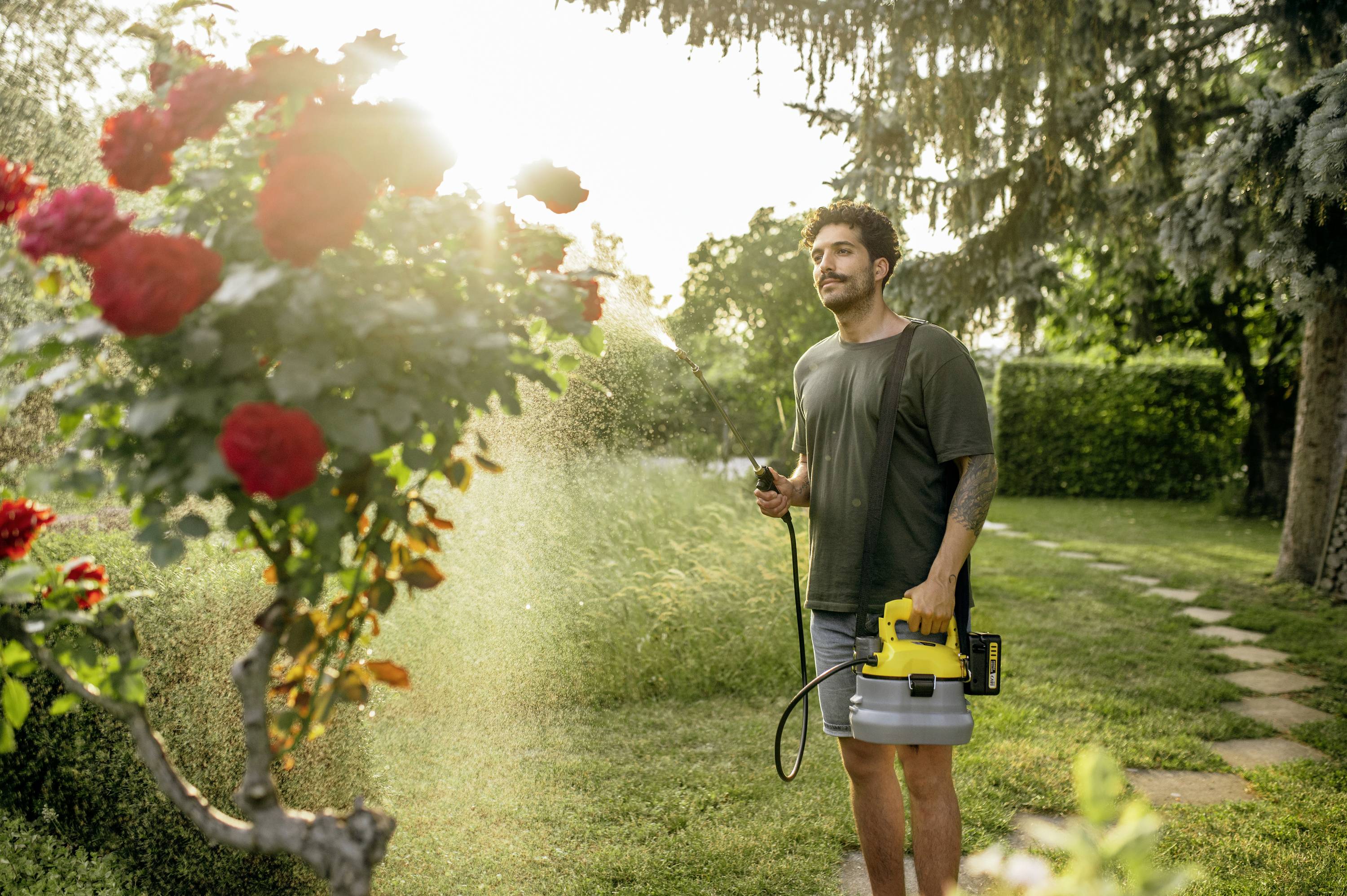 Un uomo innaffia rose con un tubo da giardino in un giardino soleggiato. Sullo sfondo si vedono alberi e un prato.