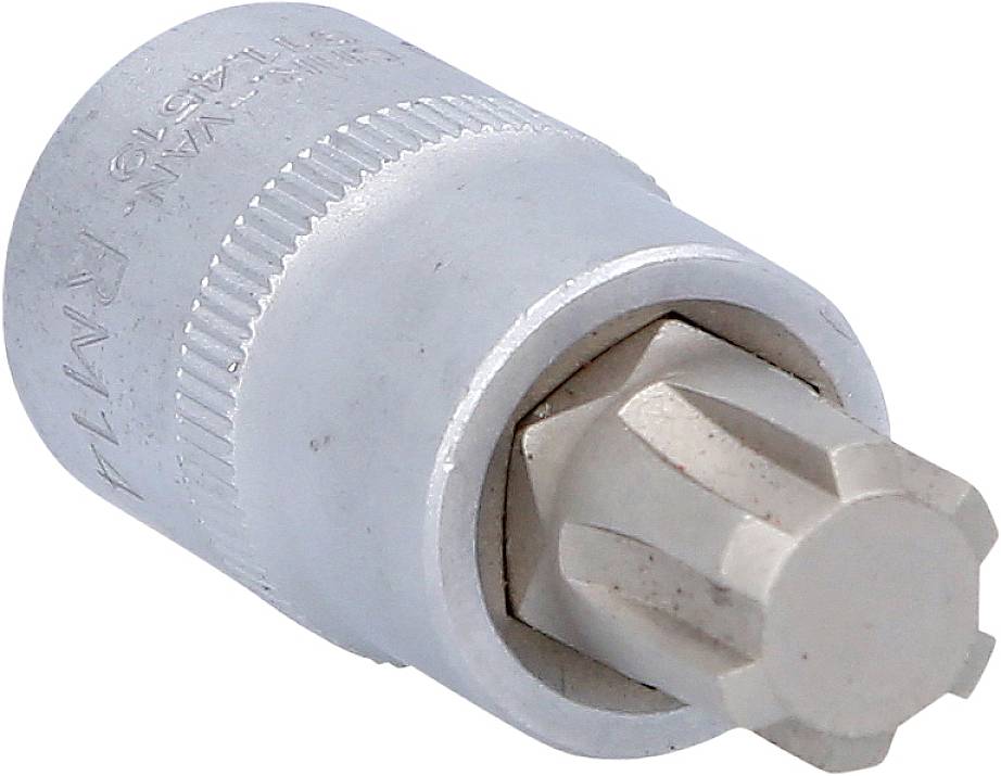 Bussola per bit con profilo Torx, colore argento, adatta per lavori precisi in applicazioni artigianali.