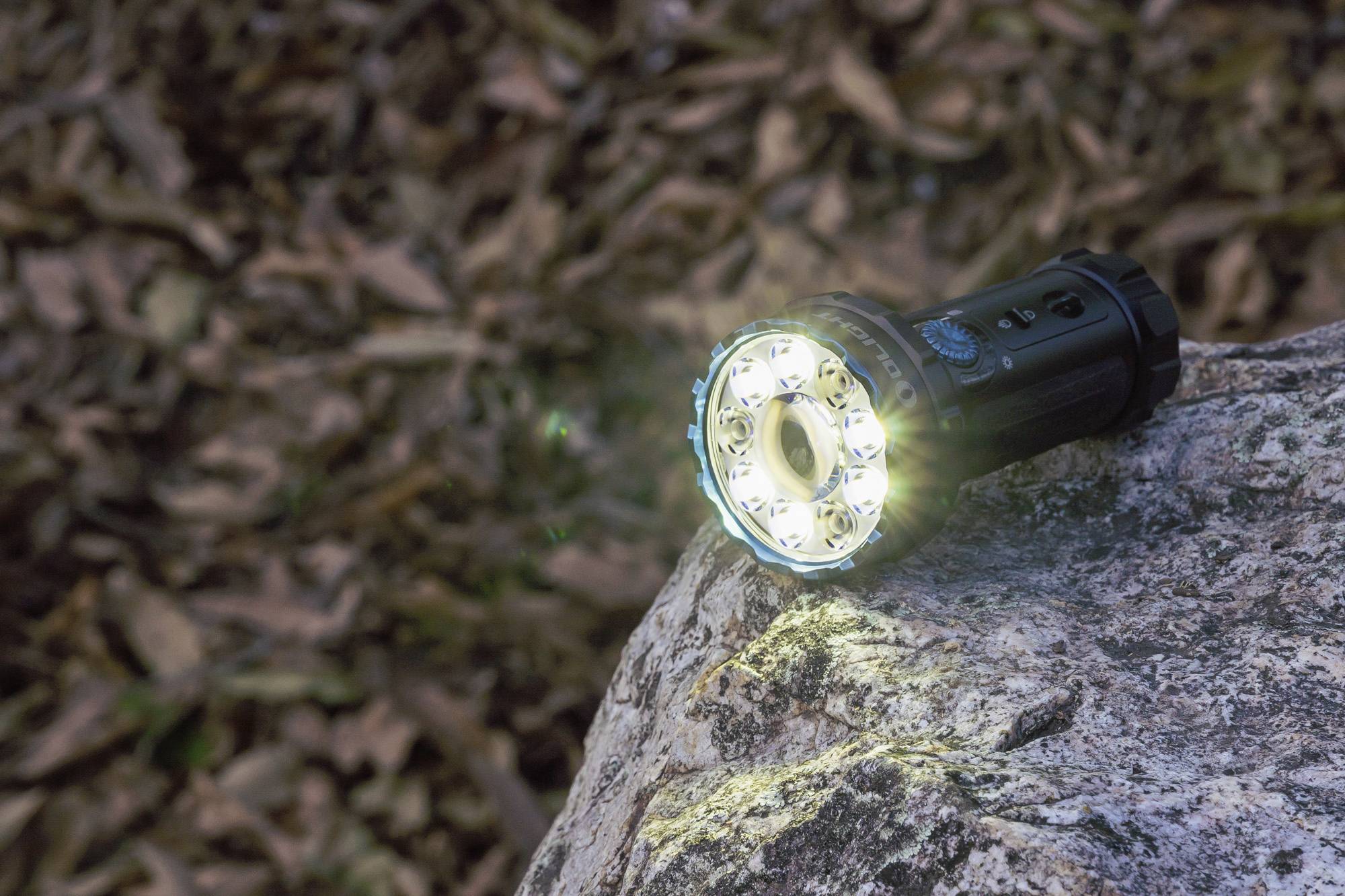 Torcia elettrica illumina un masso, circondato da foglie autunnali sullo sfondo.