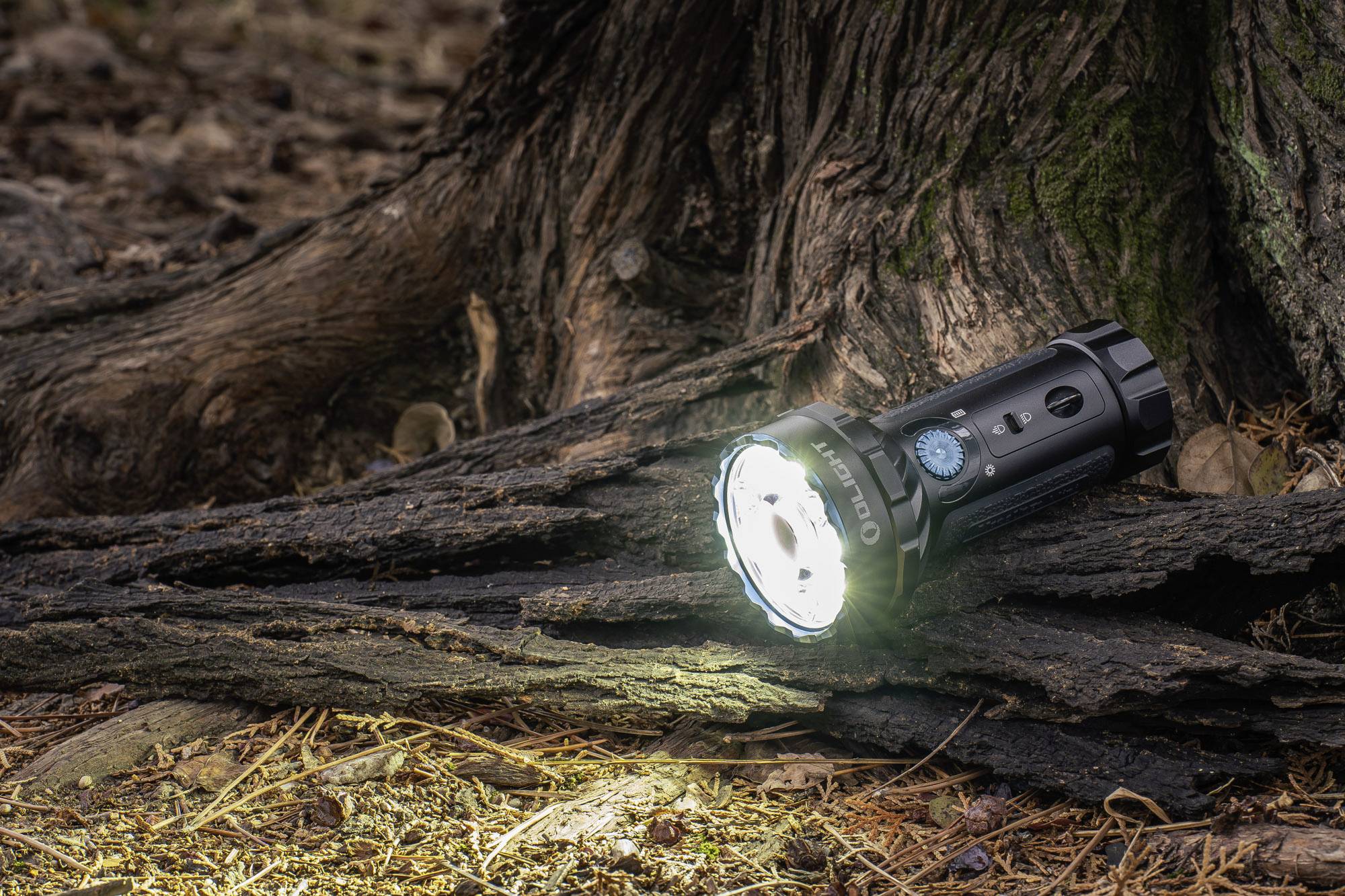 Una torcia accesa è posizionata su una radice di un albero nel bosco e illumina davanti a sé. L'ambiente circostante è cosparso di foglie e pezzi di legno.
