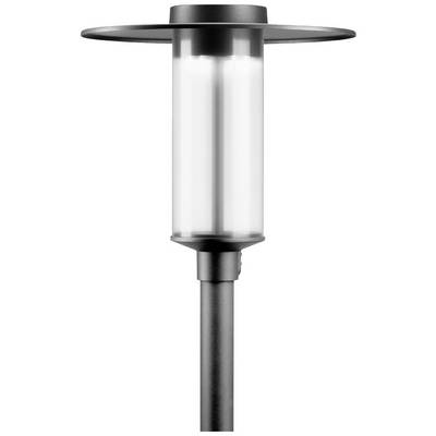 Lampada da giardino con paralume cilindrico in vetro e schermo metallico nero. È montata su un palo alto e sottile.