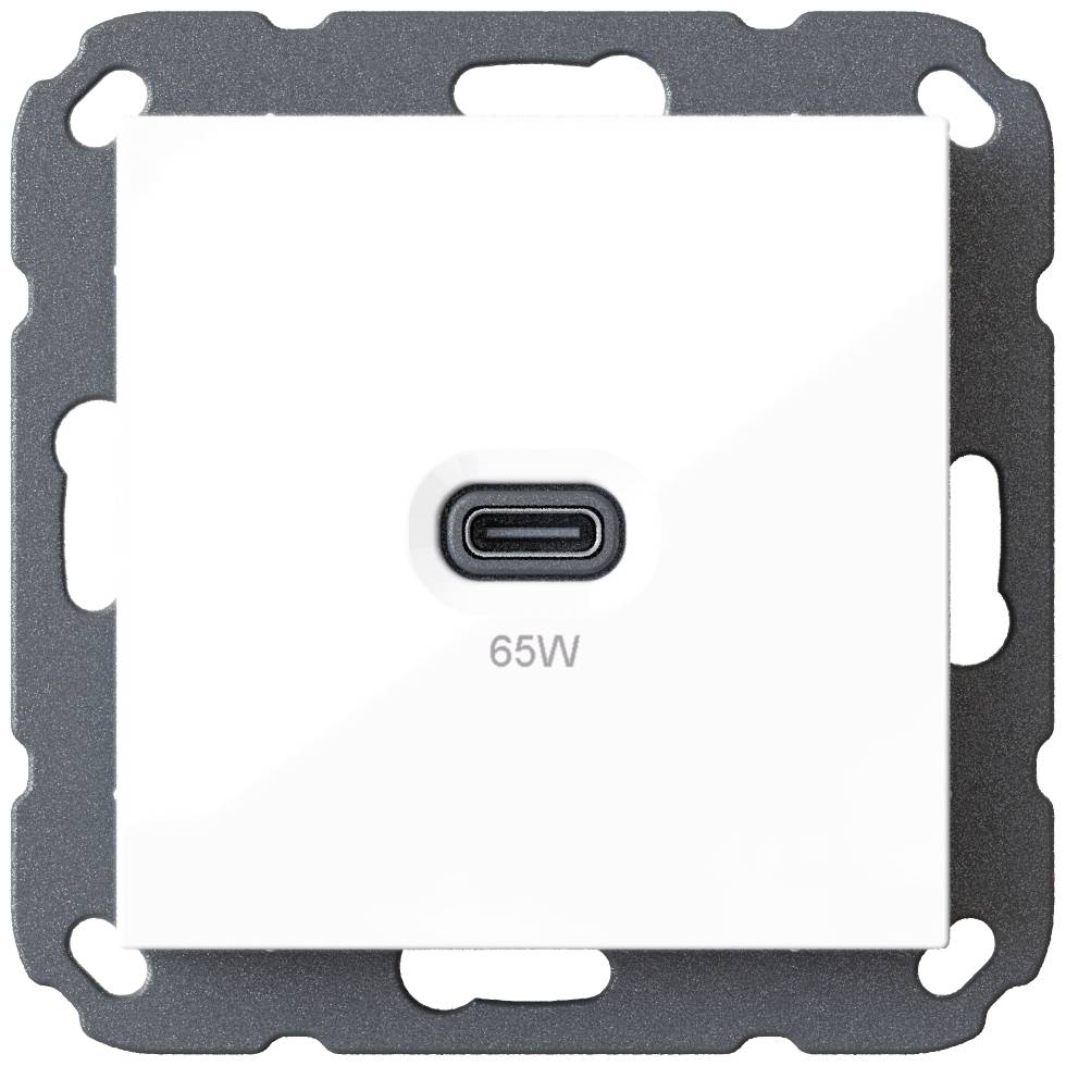 Presa elettrica bianca con porta USB-C, con etichetta '65W', su sfondo grigio.