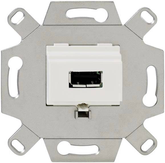 Un singolo connettore USB montato in una staffa quadrata metallica, utilizzato per l'installazione a parete.