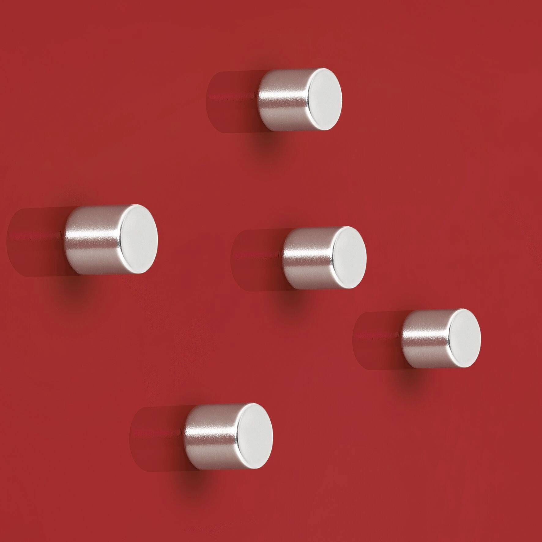 Sigel Magnete neodimio C5 "Strong" (Ø x A) 10 mm x 10 mm cilindro Argento 5 pz. BA700