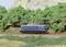 Una locomotiva di un modello di treno blu sta viaggiando su un binario attraverso un paesaggio verde con alberi sullo sfondo.
