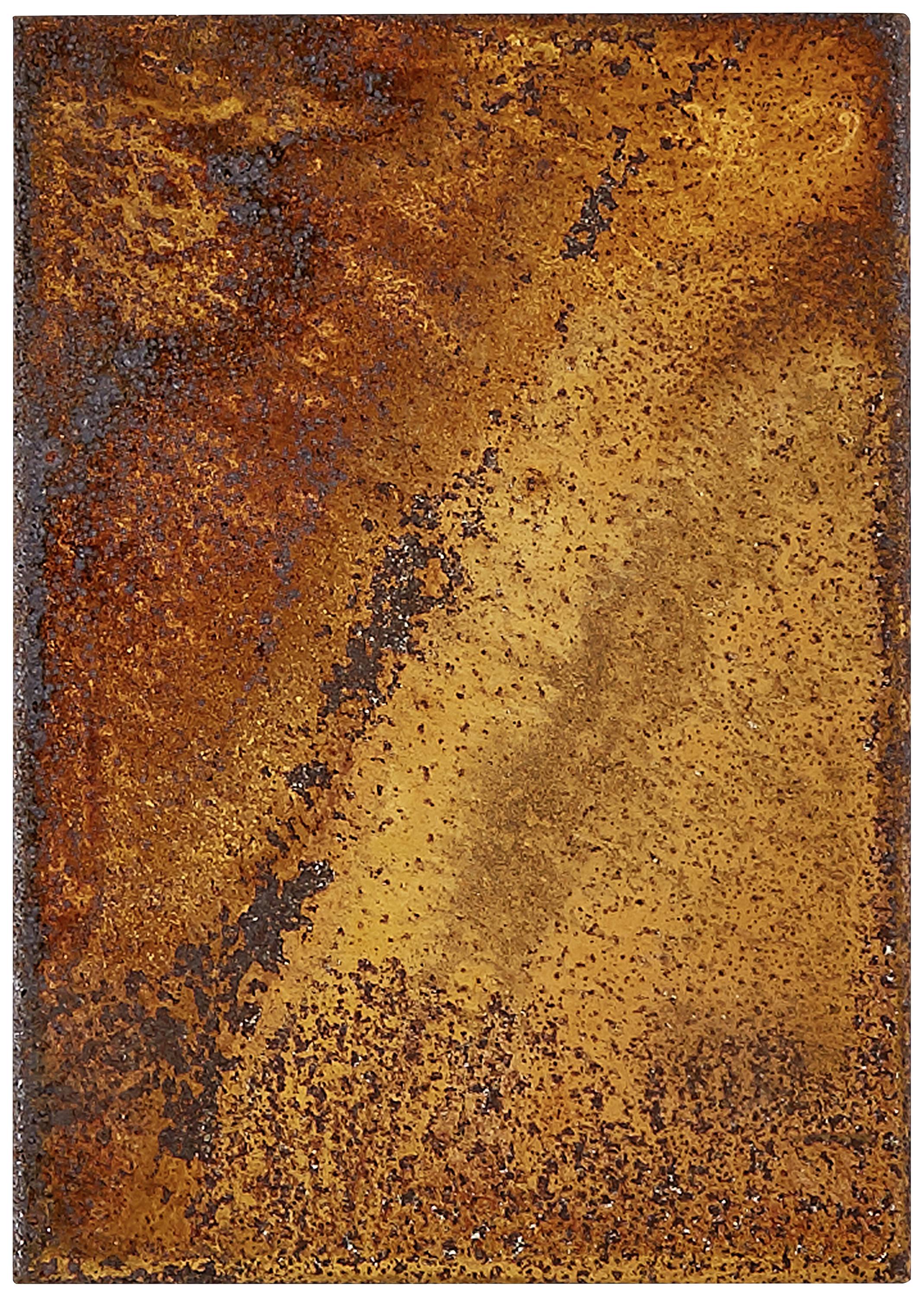 Un pezzo rettangolare di metallo con una puntinatura uniforme di ruggine in varie tonalità di arancione, che mostra texture e colori.