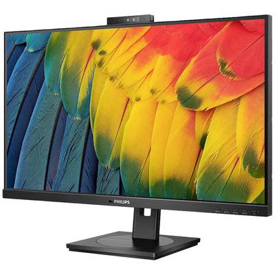 Un monitor Philips mostra un'immagine vivace di piume di pappagallo in blu, giallo e rosso.