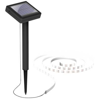 Lampada solare da giardino con picchetto di fissaggio e striscia LED flessibile, ideale per decorazione e illuminazione da esterno.
