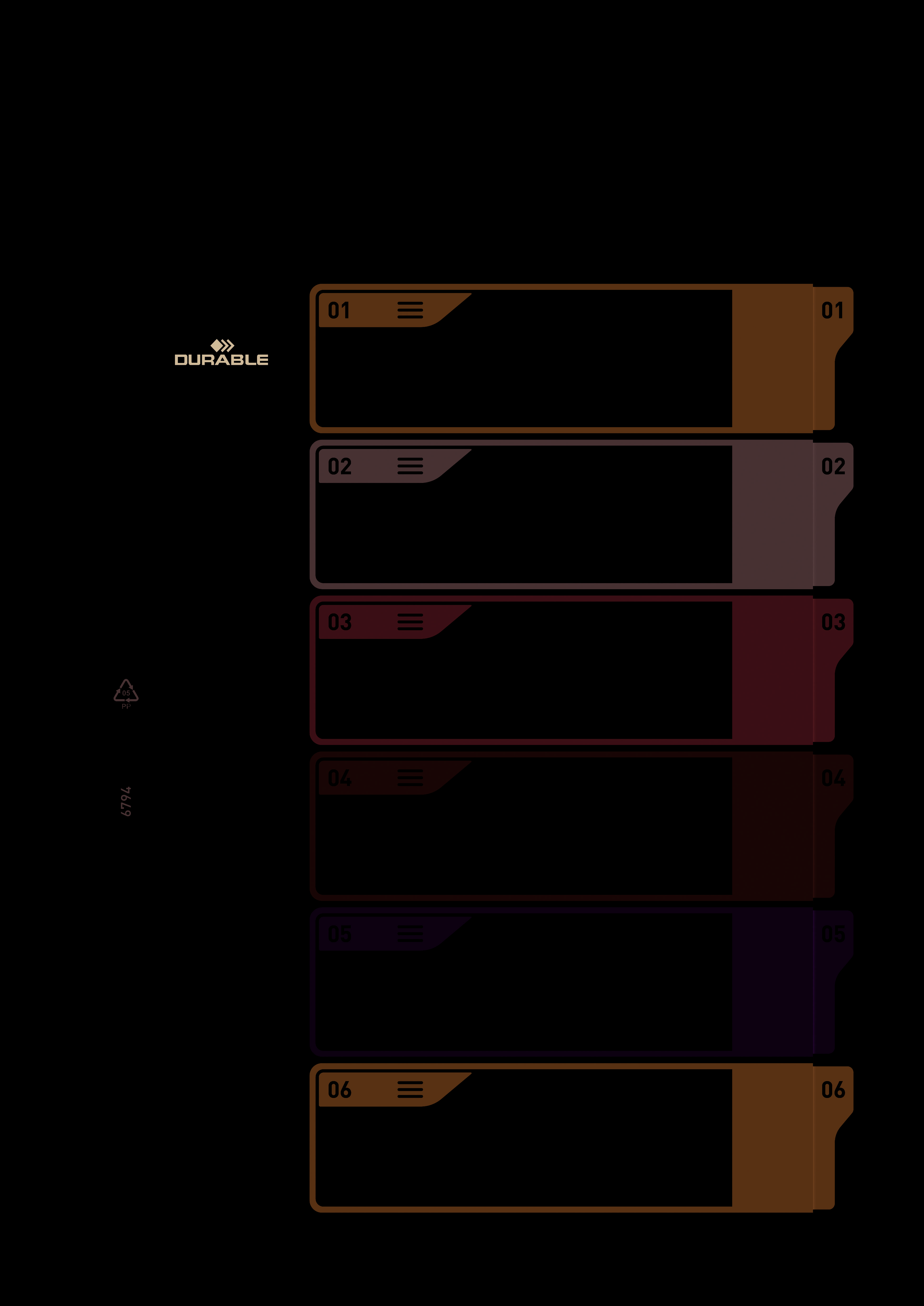 Divisorio con sei linguette colorate, numerate da 1 a 6, per l'organizzazione dei documenti in raccoglitori. Nome del marchio sul bordo superiore.