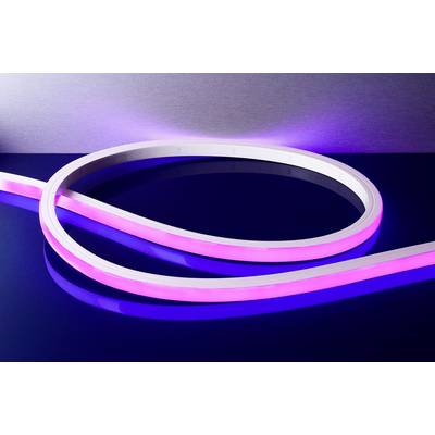 Una striscia LED bianca si illumina di rosa su un tavolo blu riflettente davanti a una parete grigia.