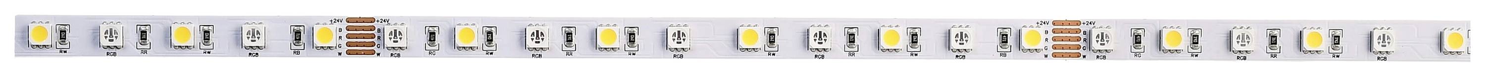 Striscia LED con disposizione uniforme di diodi emettitori di luce su sfondo bianco. Adatta per scopi di illuminazione.