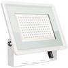 Faro LED SMD 100W F-Series con Driver IC Integrato Colore Bianco 6500K IP65