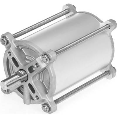 Cilindro pneumatico argentato con due barre filettate parallele su sfondo bianco.