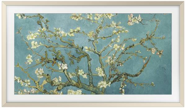 Samsung VG-SCFC32SGMXC Cornice TV