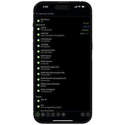 Interfaccia di rete su un display di smartphone con stato Ethernet attivo, indirizzi IP, dettagli DHCP e informazioni VLAN.