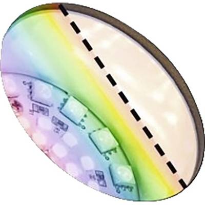 Sezione trasversale di una lampada LED, mostra la struttura interna e gli strati della lampada, con chip LED e una copertura trasparente.