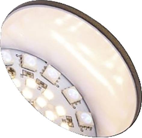 Un'applique da soffitto rotonda a LED con un diffusore opale bianco e chip LED visibili sul lato inferiore, dal design moderno.